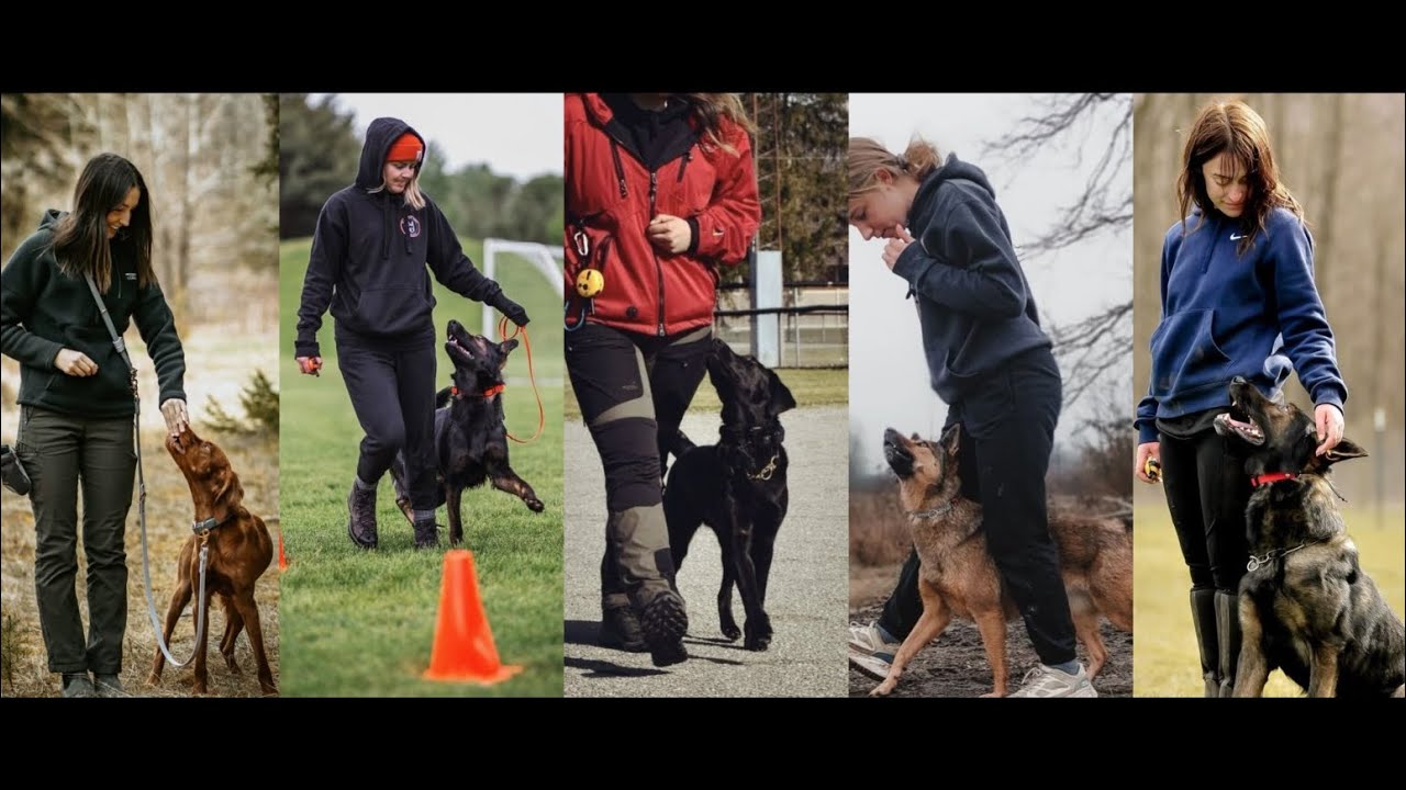 *DOG TRAINER/TRAINING* TIKTOK COMPLATION | jj_in_pink