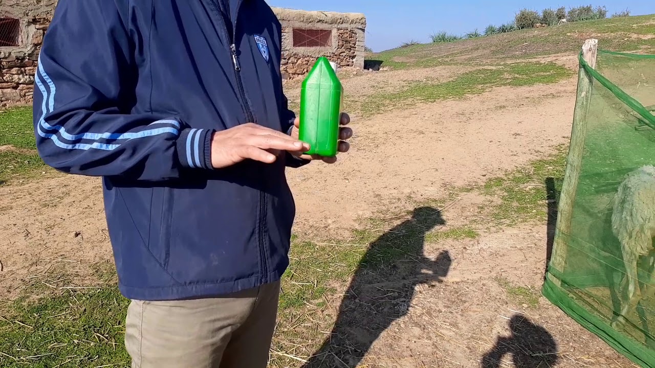 مضاض الطفيليات الداخلية الغش( الطريقة الصحيحة ديال الاستعمال)