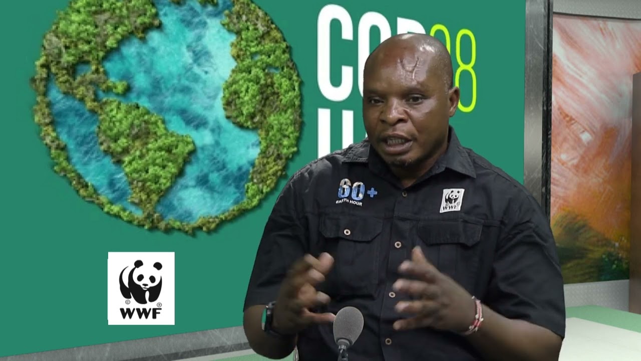 Forestry & Restoration Insights on the Road to COP28 with WWF Zambia's Forest Lead Abel Siampale
