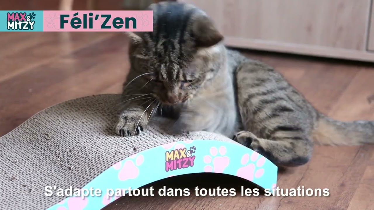 Griffoir pour chats en carton F&eacute;li'Zen avec herbe &agrave; chat - Max&Mitzy