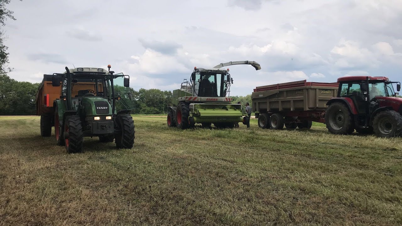 Ensilage d'herbe 2019 | Fendt 307ci | Claas Jaguar 830 | NH | MF | Case ... [CabView]