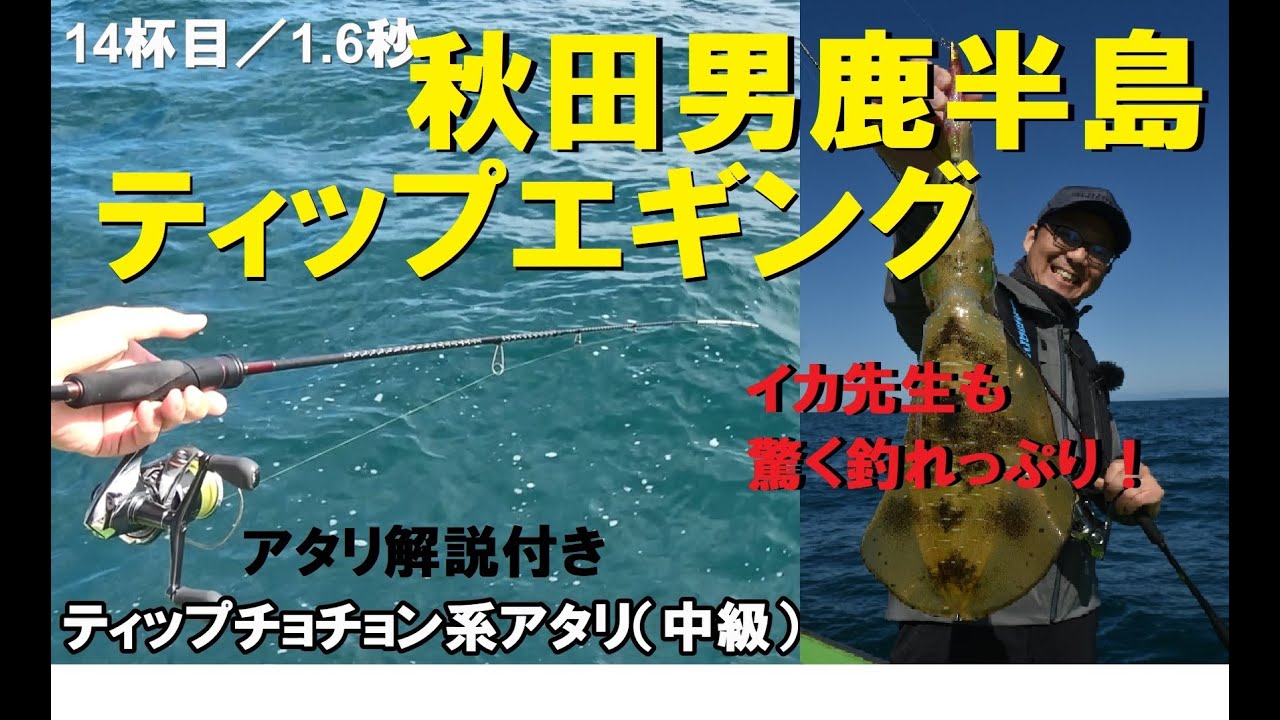 イカ先生「秋田県男鹿半島沖ティップランでアオリイカ爆釣！」【アタリパターン解説付き】