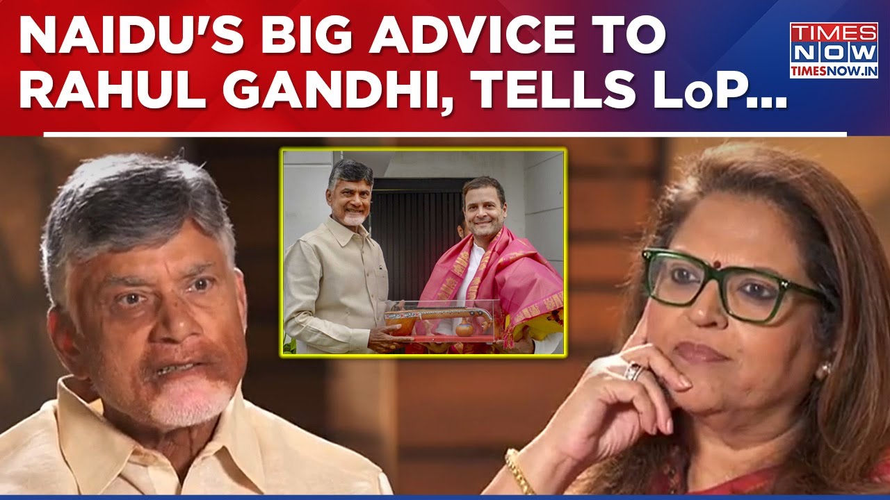 Navika Kumar To Chandrababu Naidu: What Advice Would You Give Rahul Gandhi?Andhra Pradesh CM Says...