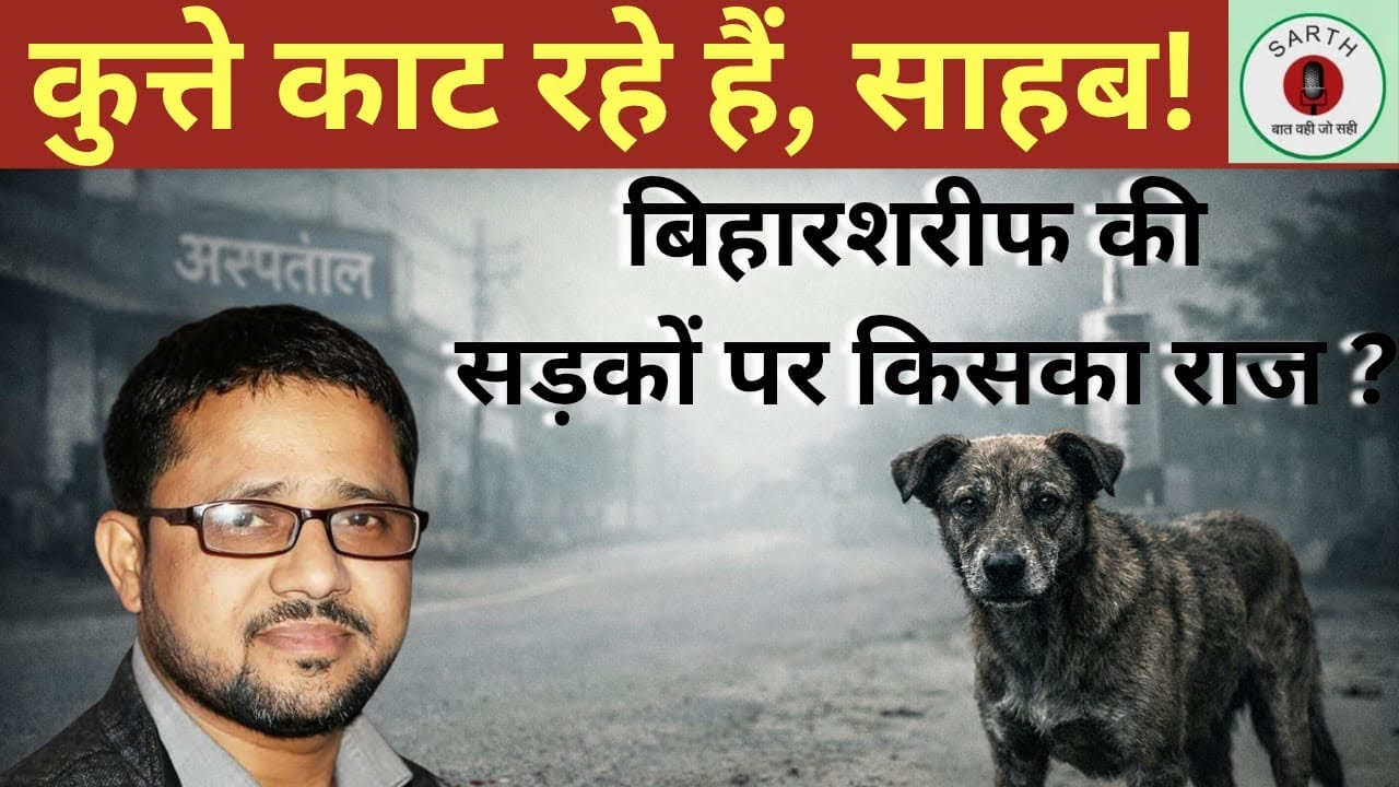 Biharsharif में आवारा कुत्तों का आतंक|रात शहर की नहीं, कुत्तों की है|Rajnikant