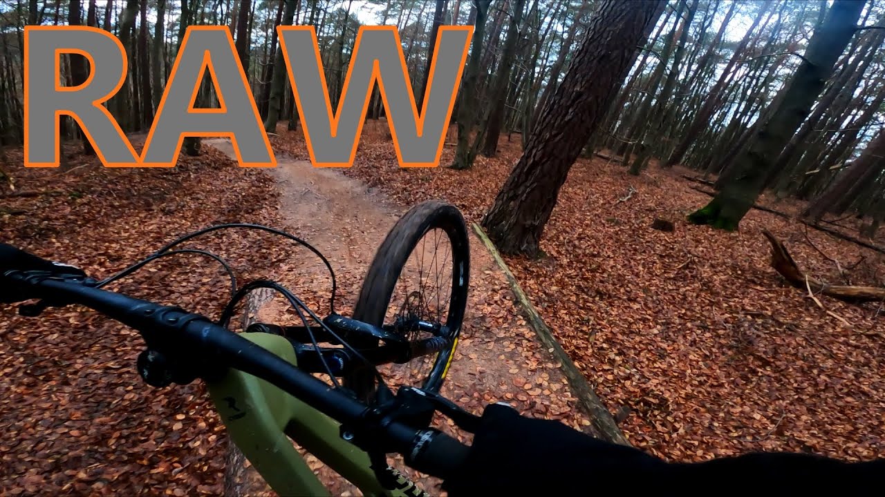 Yo Trail Bad Hersfeld | Raw | Downhill Shredding | 2022