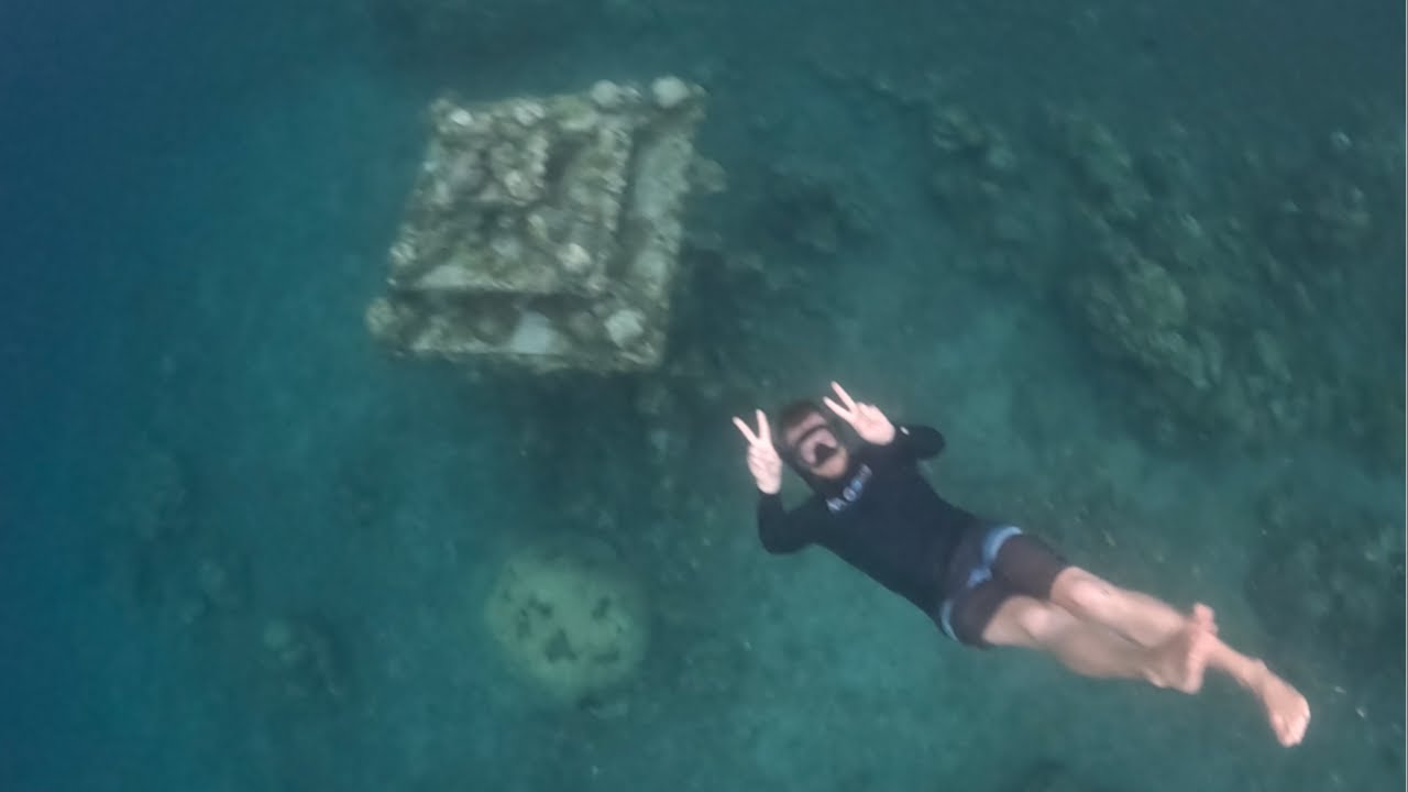Tauche Live in die Unterwasserwelt von Amed, Bali ein 🌊🪸🤿 | IRL Livestream