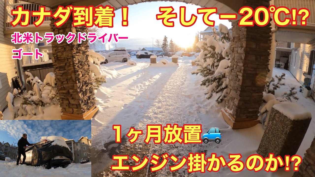 【