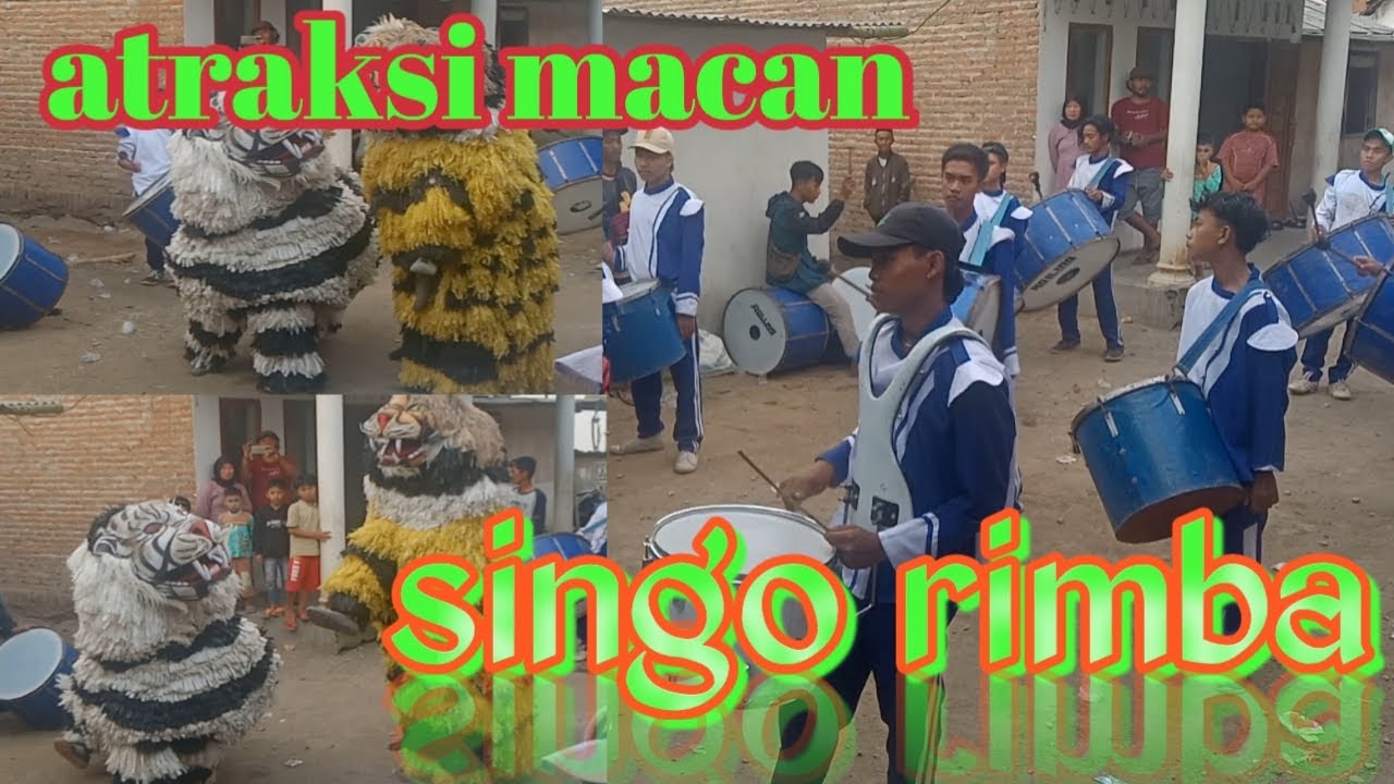atraksi macan singo rimba bersama drumband gema nada@nenglia732