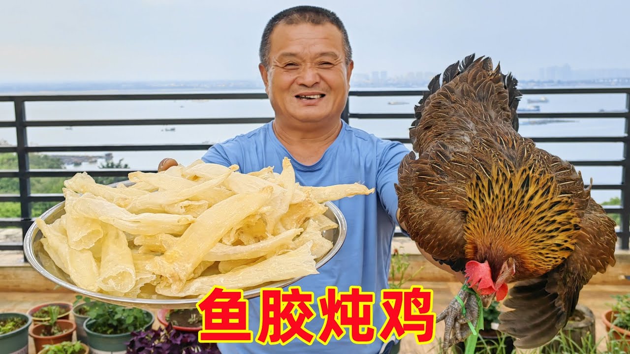 都說海南的雞好吃，阿胖山搞只土雞炖魚膠，湯鮮肉嫩名不虛傳！