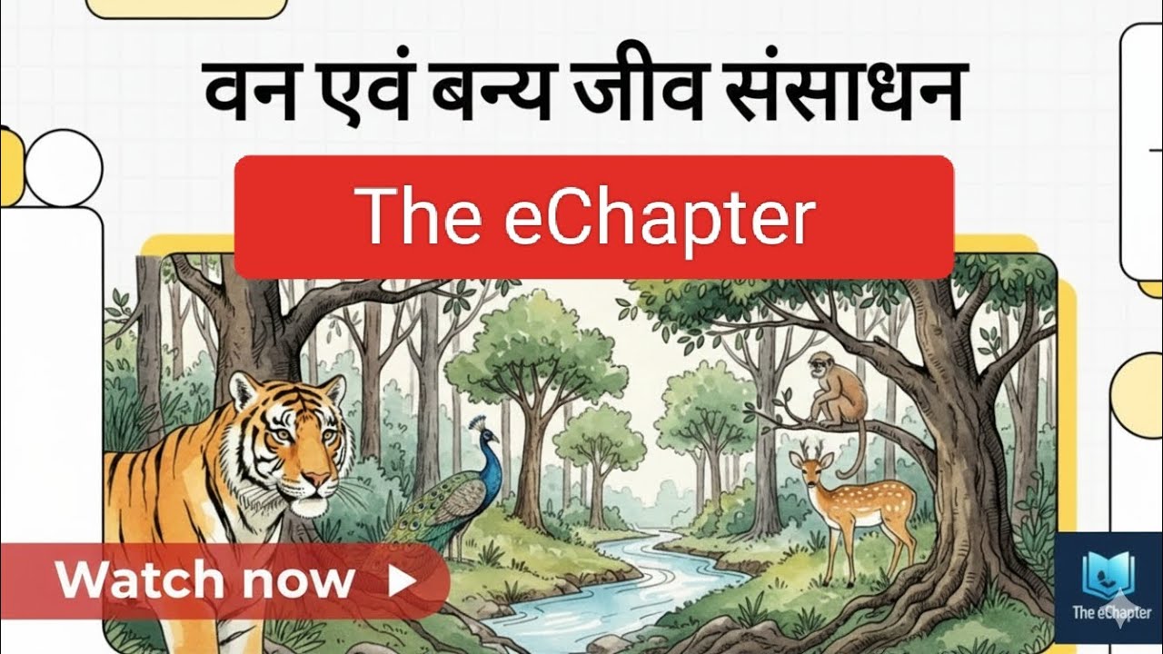 वन और वन्य जीव संसाधन | टॉपिक को समझे सबसे आसान तरीका से | NCERT Content 6th- 12th | The eChapter | 