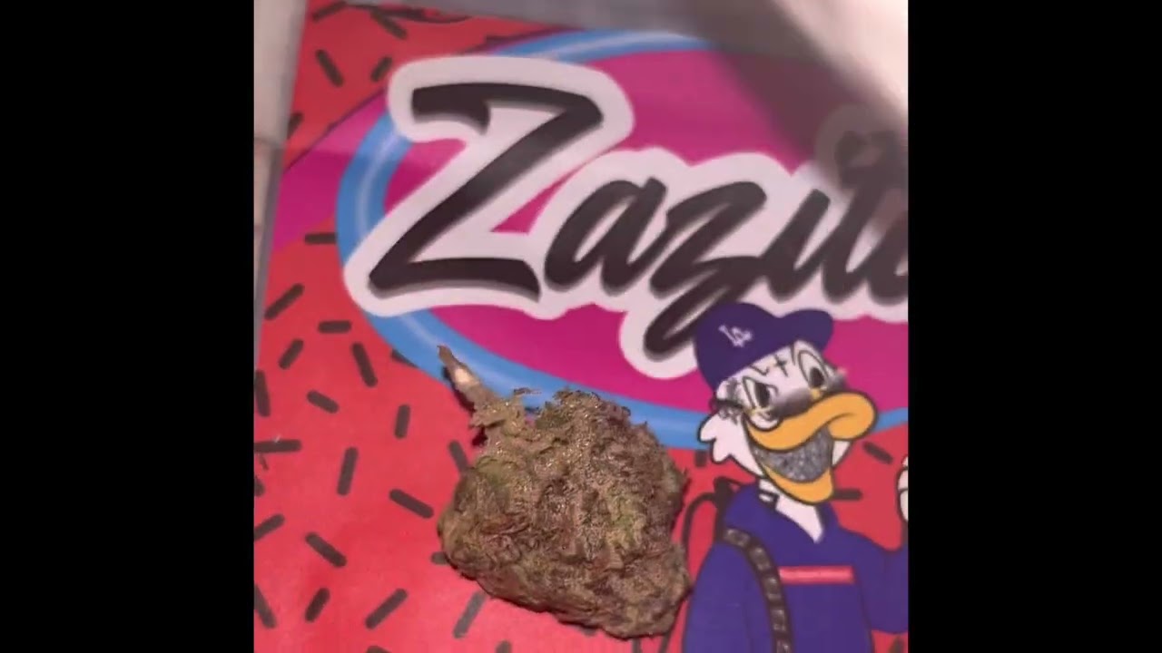 Hanksexotics review of zazitos by backpack boyz and fenix flexin