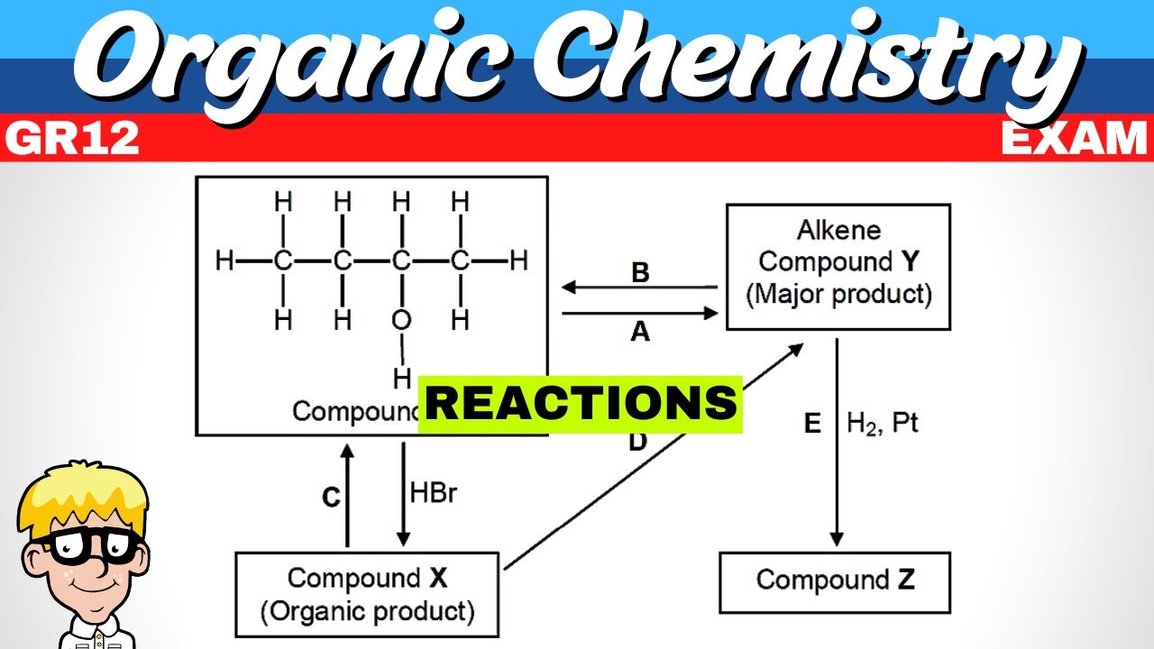 Organic Chemistry Exam Questions