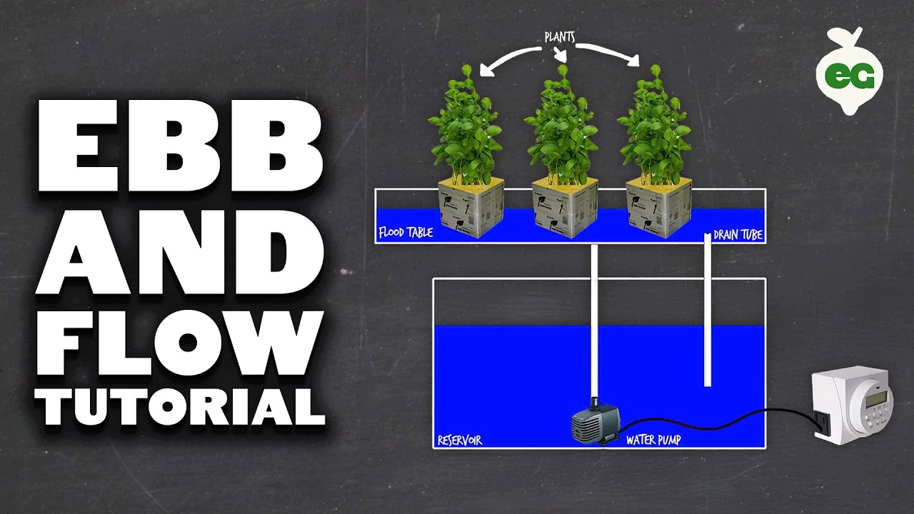 How to Set Up an Ebb and Flow DIY Hydroponics System (Flood and Drain)