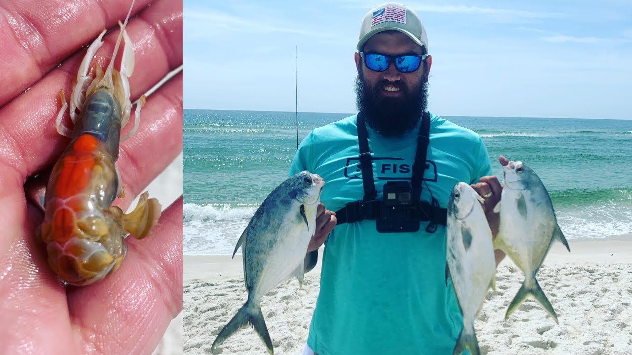 Pompano Surf Fishing with GHOST Shrimp