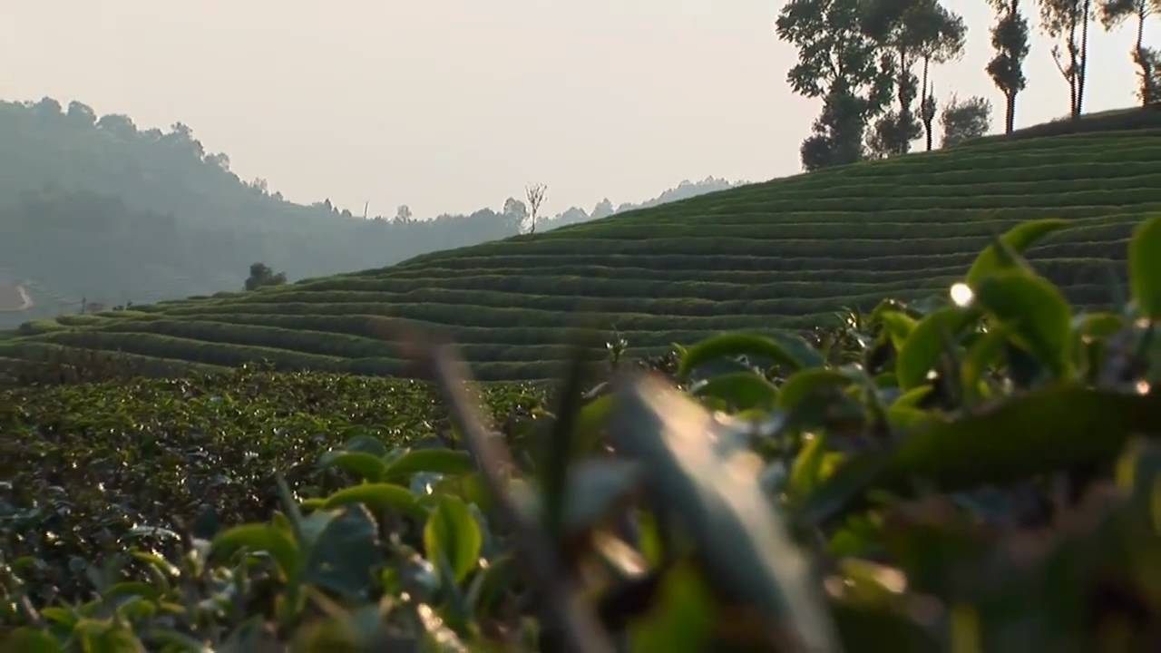 New Road Drives Development Along Ancient Mekong Trade Route: ADB