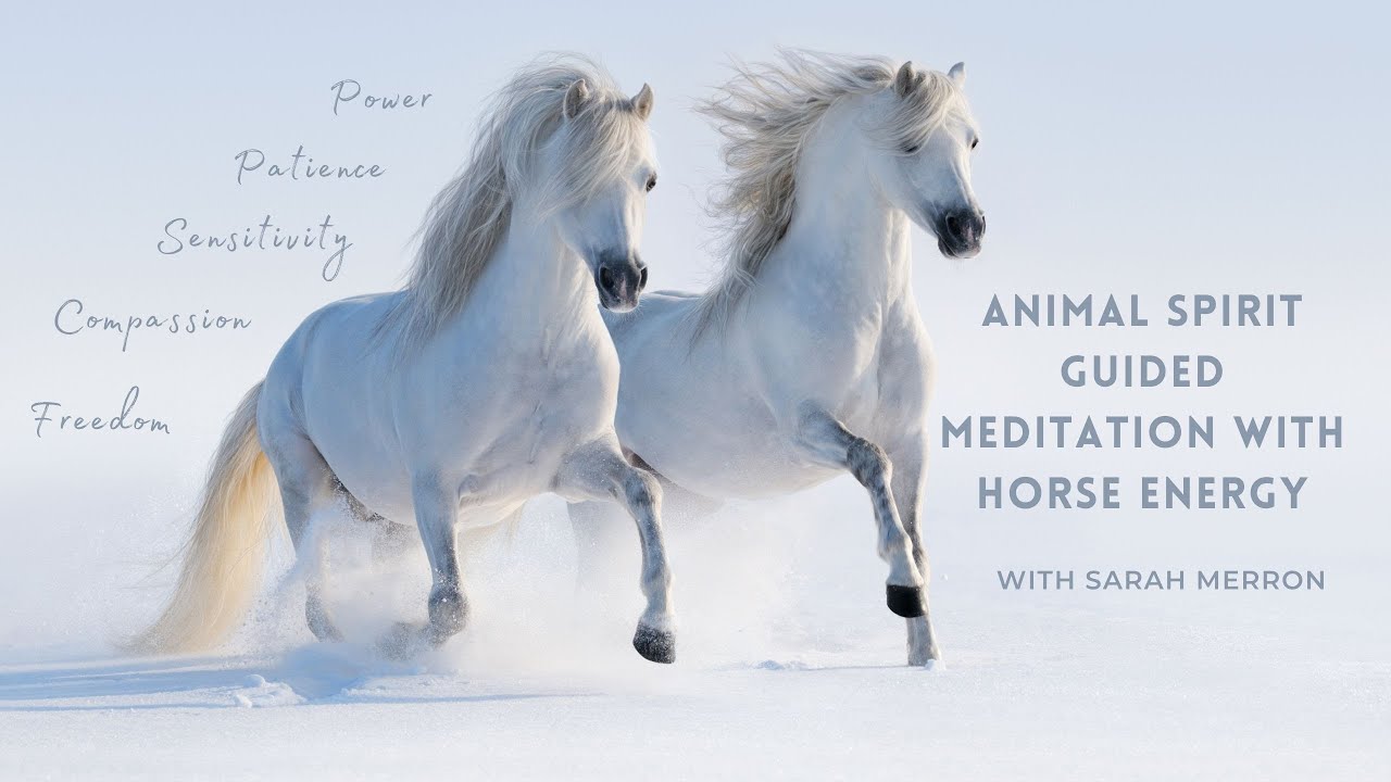 Animal Spirit Guided Meditation With Horse Energy | Shamanic Meditation Series