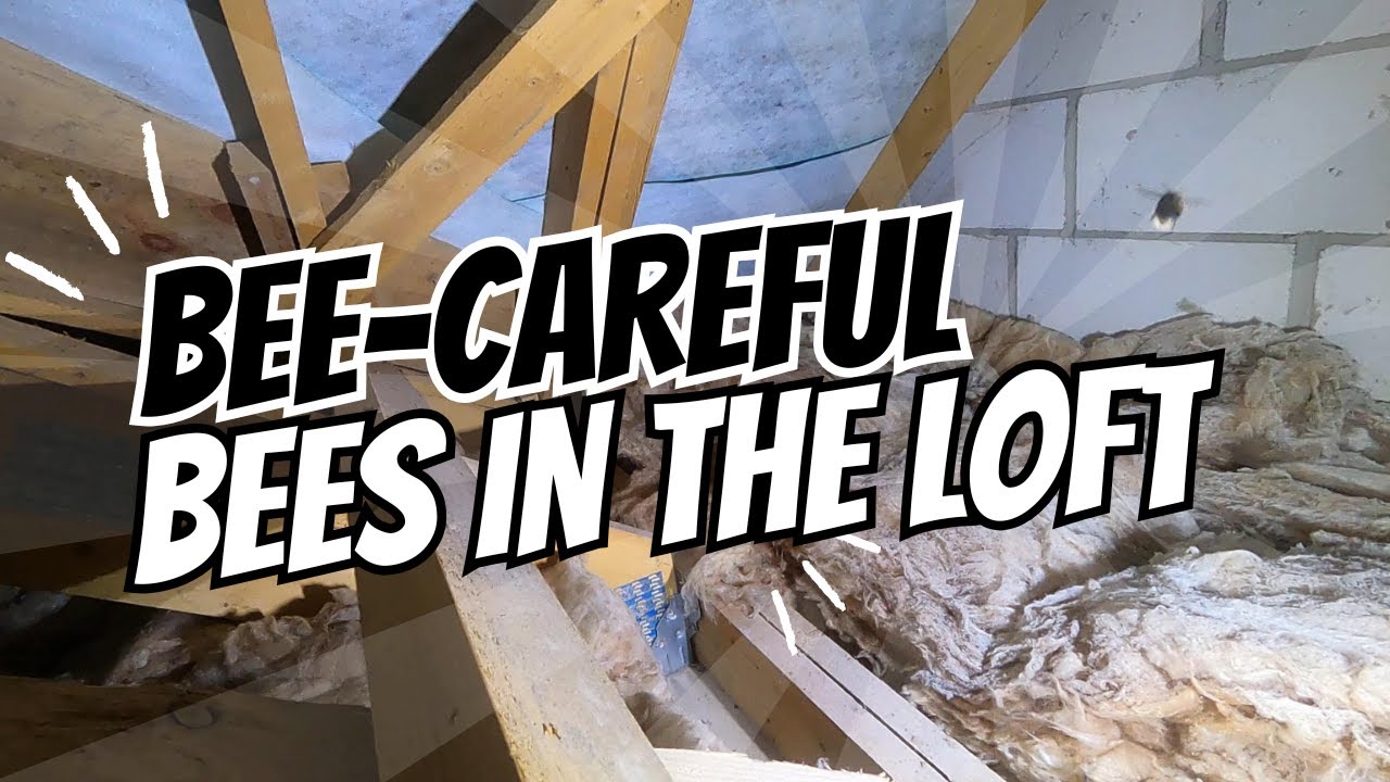 White-Tailed Bumblebee Removal – We Save the Bees!