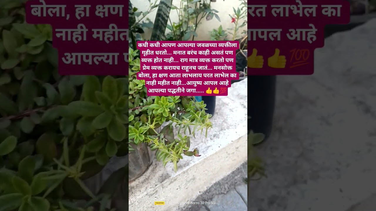 आयुष्य आपल्या पद्धतीने जगा 