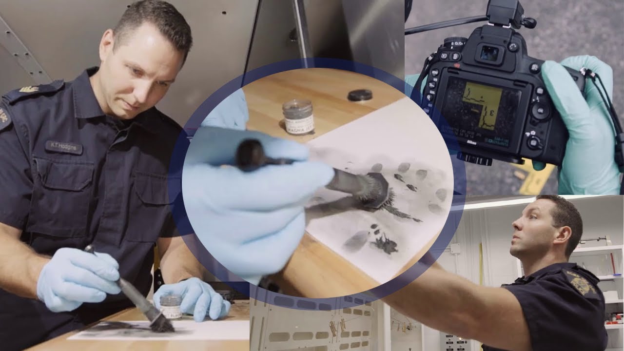 Sgt. Kurtis Hodgins - RCMP Forensic Identification - Specialist Job Series