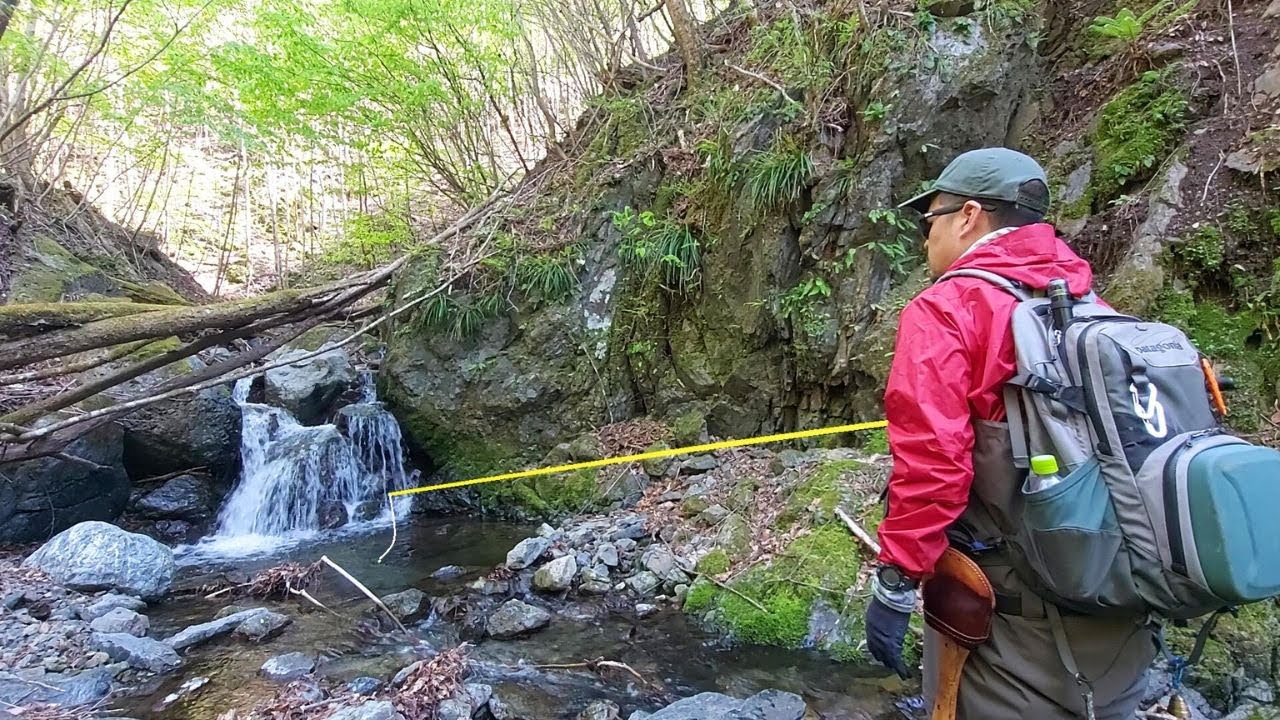 [Короткая леска Tenkara] Эта оснастка эффективна для узких ручьев!!