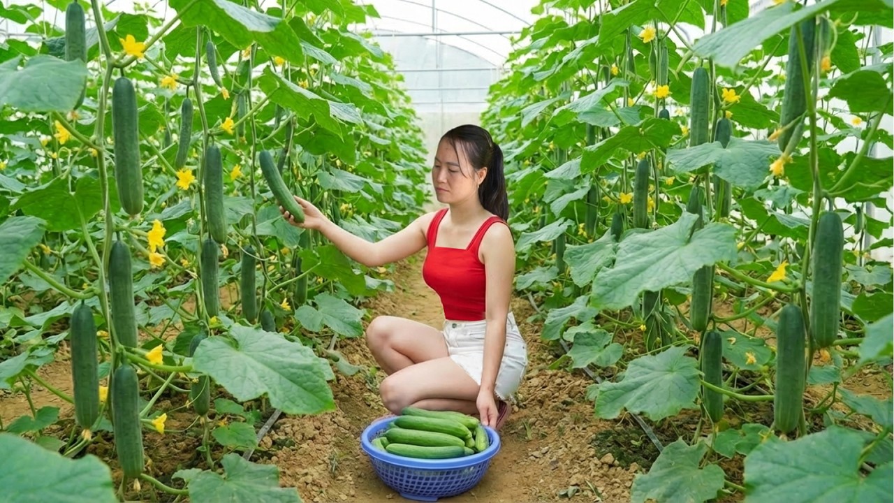 The result of hard work: Finally sold her watermelon batches of watermelon