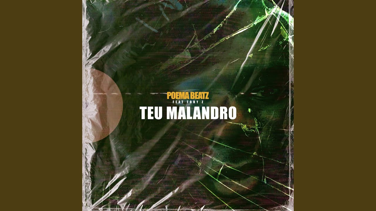 Teu Malandro