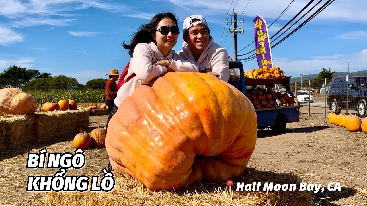 [Du lịch Mỹ] #6 Bí ngô Halloween khổng lồ ở Half Moon Bay - Giant Halloween Pumpkins