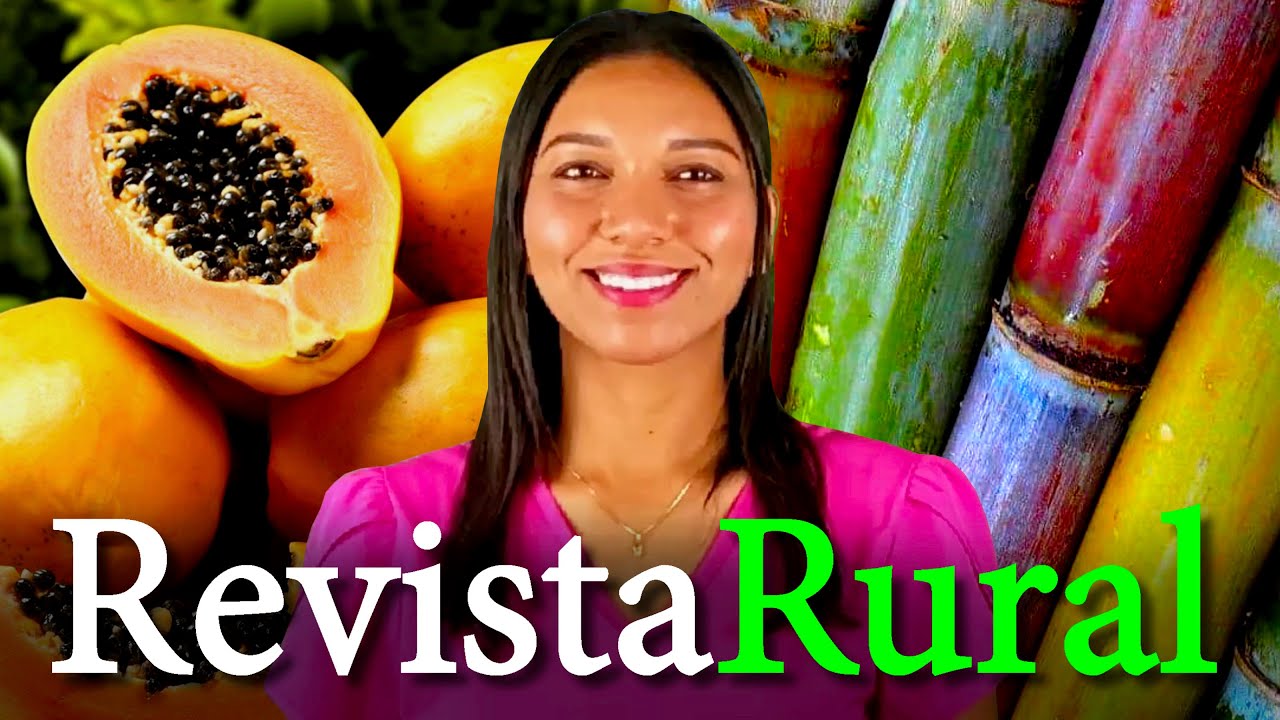 PROGRAMA REVISTA RURAL - 16/02/2025