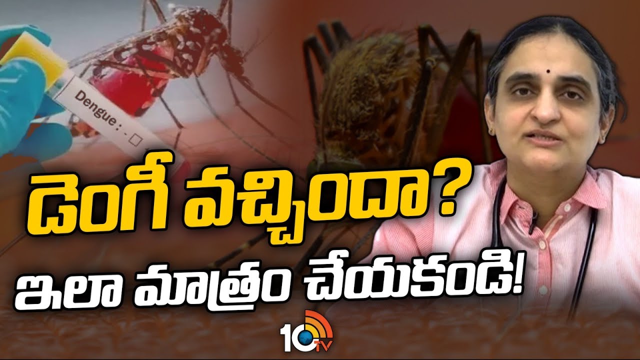 Dengue Fever Symptoms and Precautions | Dr. Sivaranjani Santosh | 10TV News