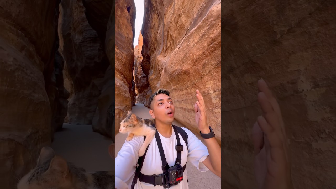 PETRA🏛️ One of the most beautiful wonder of the world 🌍🔥 #petra #jordan #jordantourism