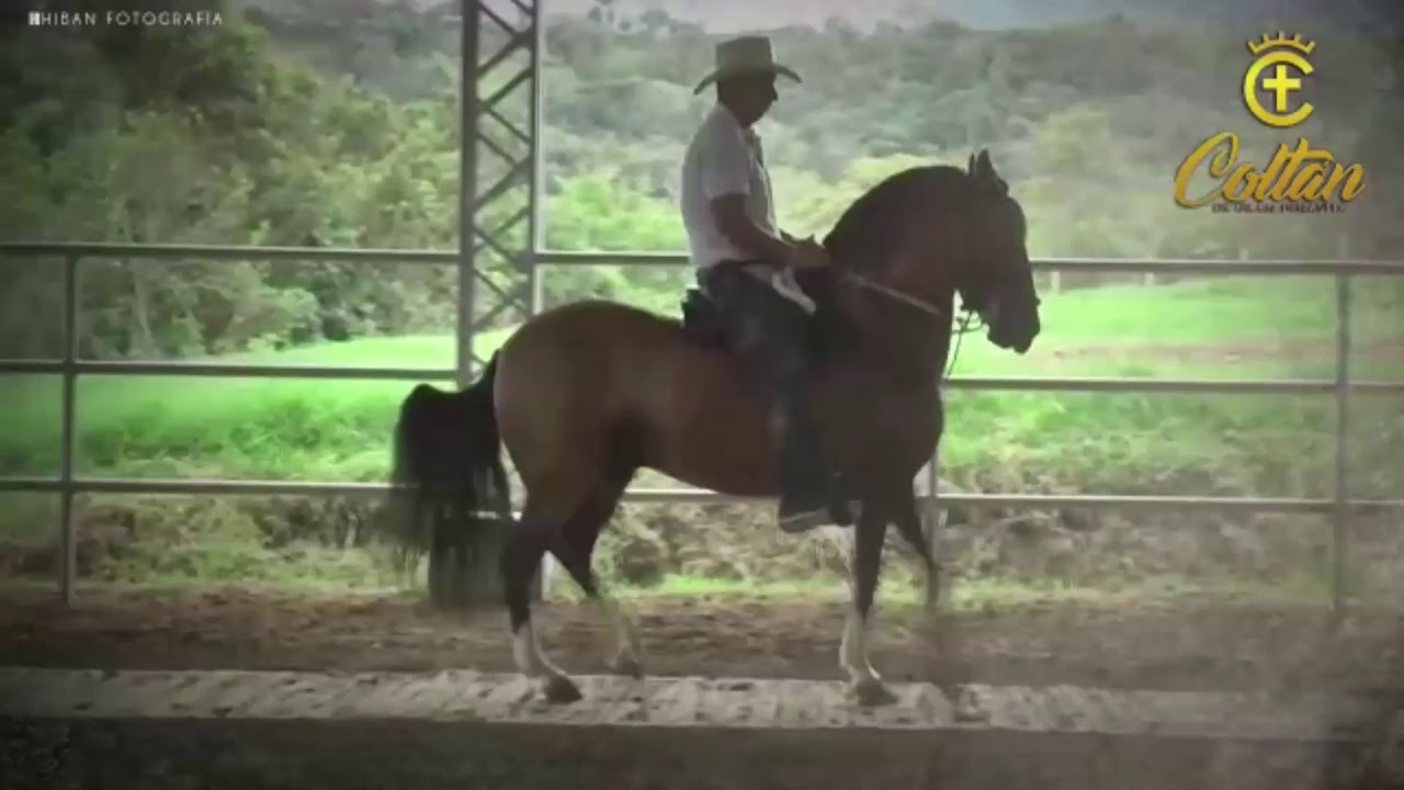 XXXIV Nacional Equina - Valledupar Fedequinas Día 4 - TROCHA COLOMBIANA