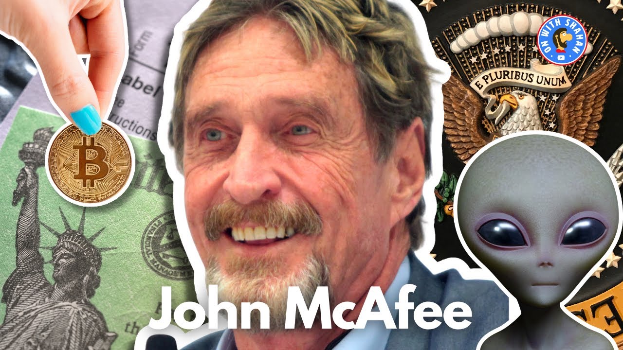 The wildest John McAfee interview