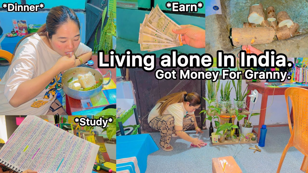 🪴Living Alone Diaries🌸aesthetic productive vlog india🇮🇳Earned Money For Grandma👸💰
