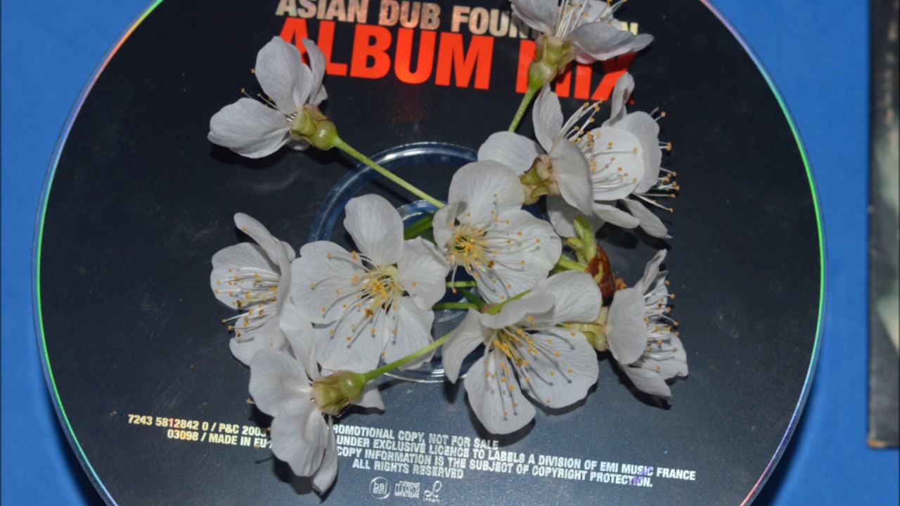 ADF Enemy of the Enemy Album Mix