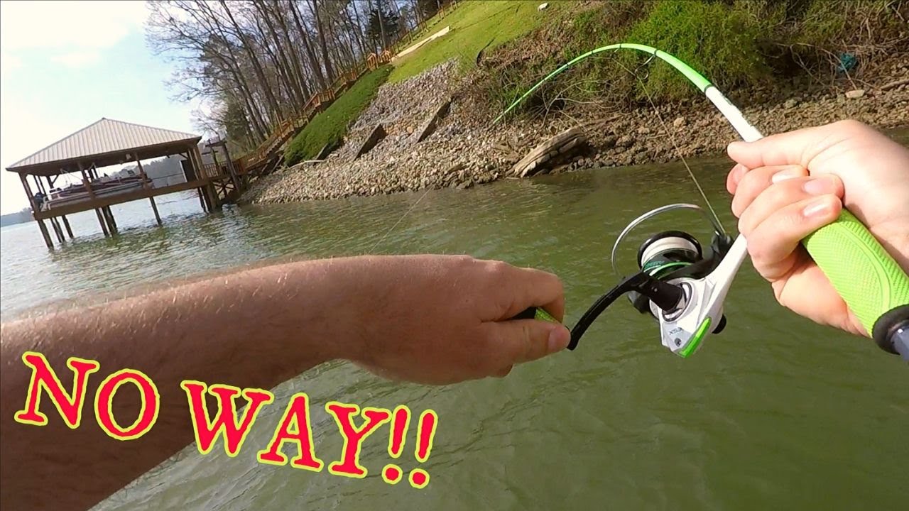 10 SPECIES?!! Fishing CHICKAMAUGA Lake (SURPRISING!!)