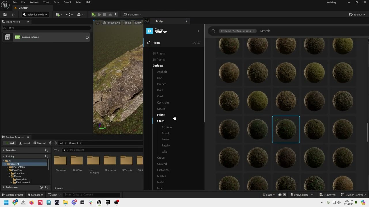 Learning to use Megascans in UE5 - Beginner's Lesson