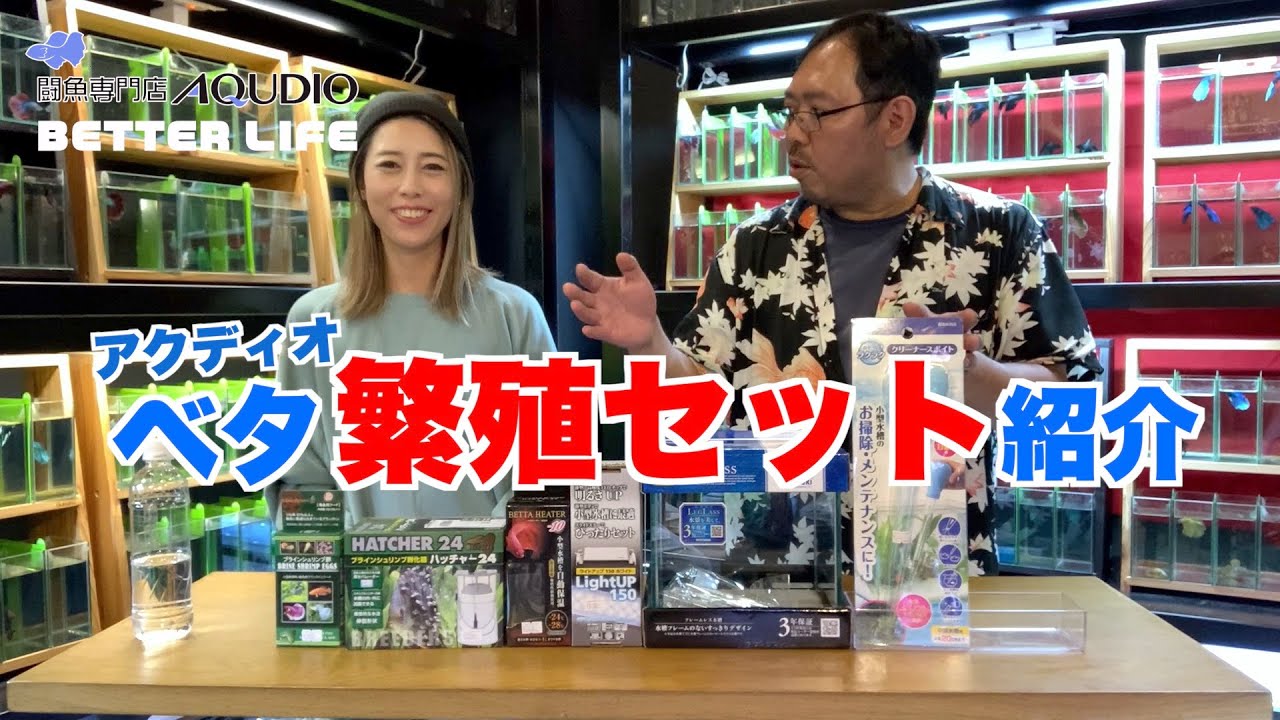 191 ベタ繁殖セット