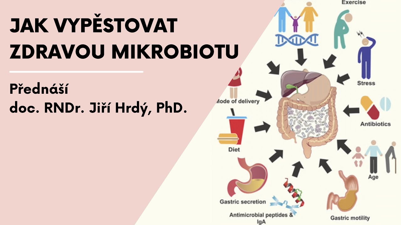 Mikrobi v kolébce aneb jak vypěstovat zdravou mikrobiotu
