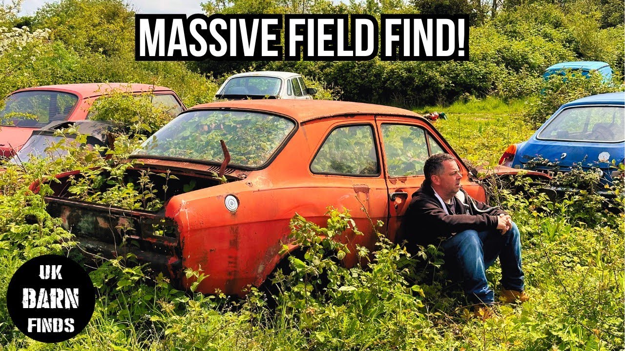 Barn Find Rescue | Massive Field Find