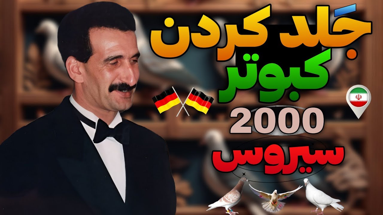 جلد کردن کبوتر به سبک سیروس چناری سال 2000| در آلمان🇩🇪🇮🇷