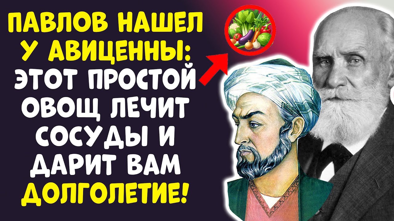 ПАВЛОВ НАШЕЛ У АВИЦЕННЫ ОВОЩ БЕССМЕРТИЯ! ЖИТЬ ДО 100 ЛЕТ - ЛЕГКО!