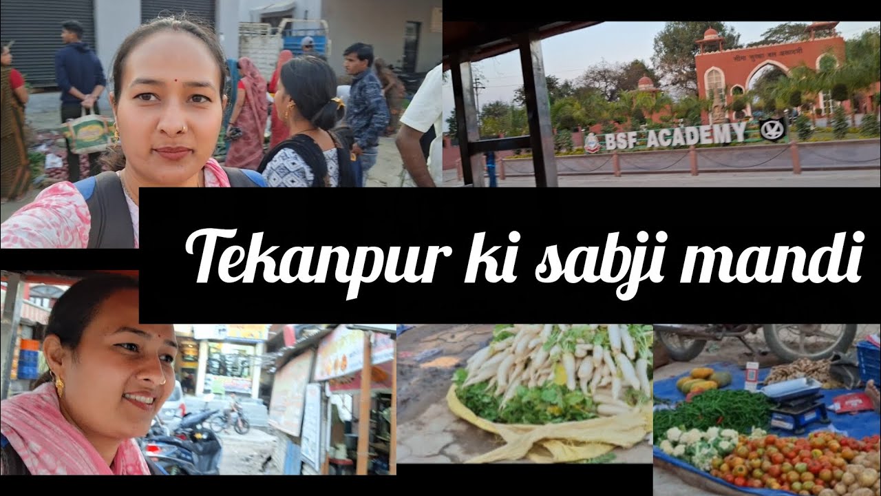 market vlog/sabji mandi #soldierwife #himachli #viral 