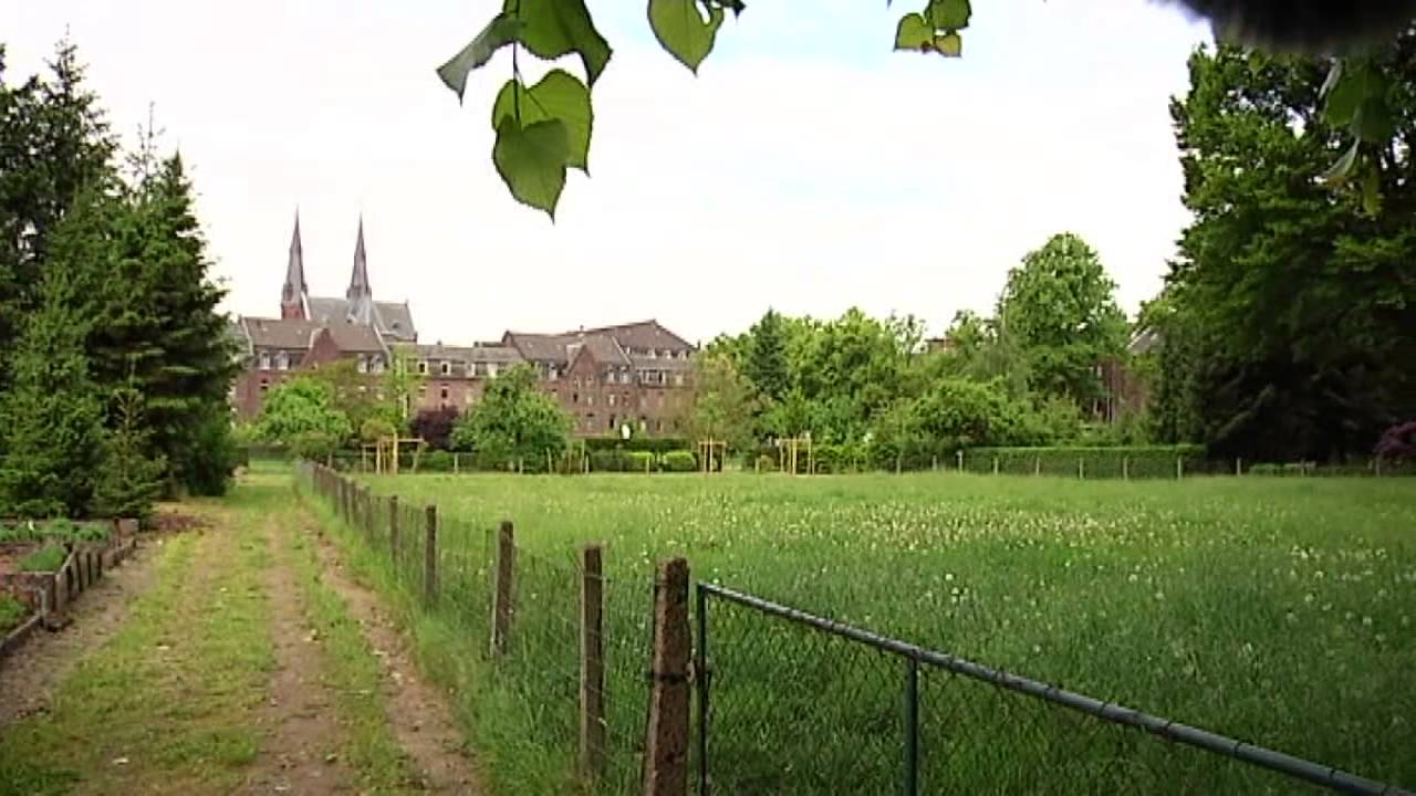 Dem Haus Gottes Leben einhauchen