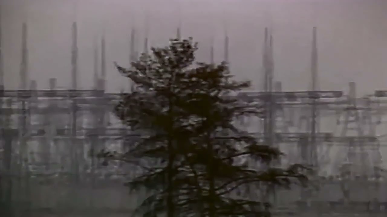 1988