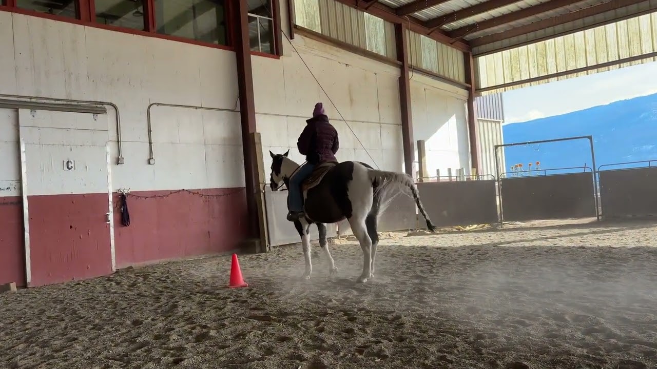 Dream N Style equitation Feb 2026