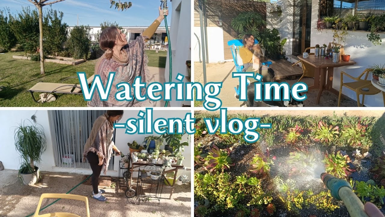 Quiet Garden Day 🌵 Watering succulents + dogs | Silent Vlog