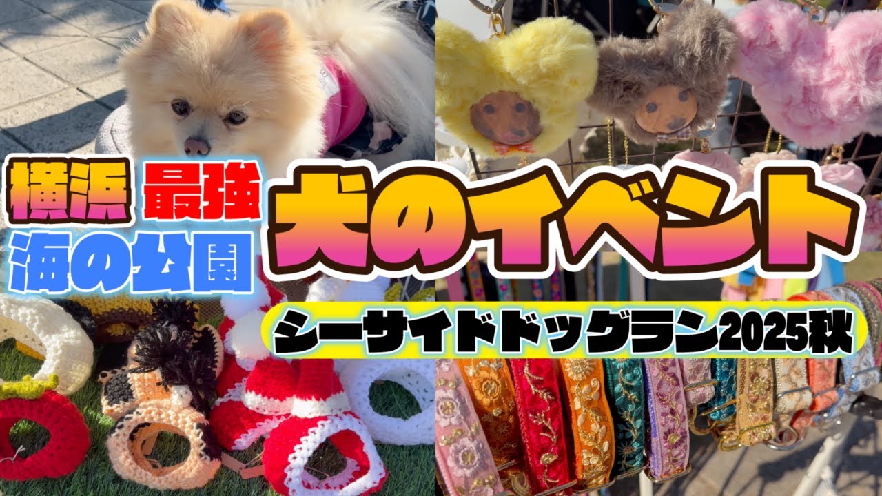 【犬イベント】【目の保養】イベントアイテム！激カワなハンドメイドグッズ＆クリスマスアイテムを紹介🎄