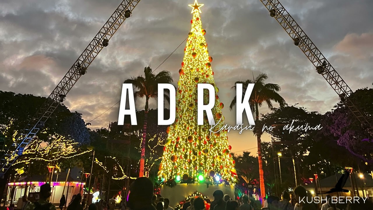 ADRK x MASHUP ( Remix 2023 JOYEUX NOEL🎅🏼 )