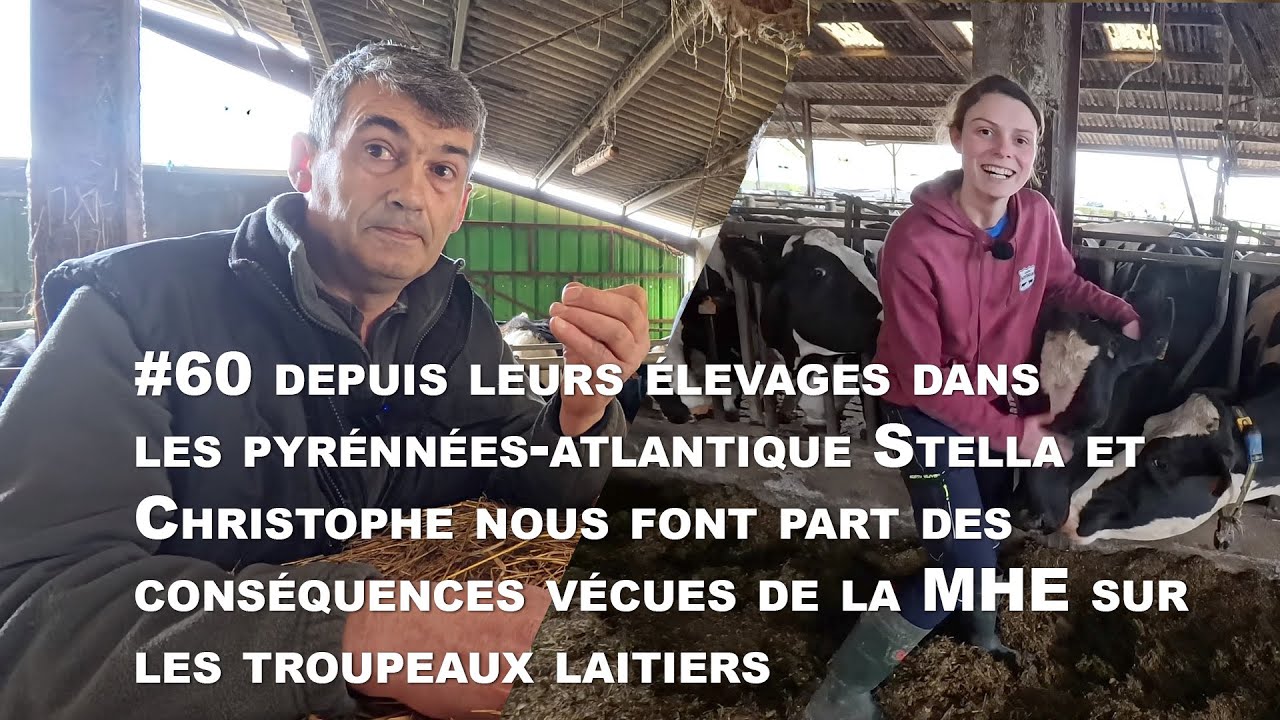 #60  dans les PA, Stella et Christophe nous font part des conséquences vécues de la MHE