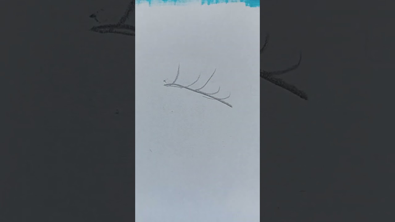 𝕊𝕠𝕣𝕪 𝕘𝕣𝕒𝕞 𝕫 𝕜𝕠𝕝